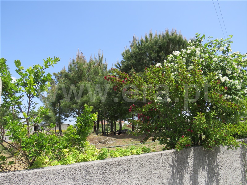 Quinta  com Agrícola Oliveira do Hospital, Seixo da Beira - 1246171 - 9