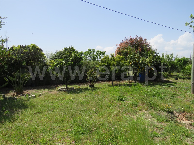 Quinta  com Agrícola Oliveira do Hospital, Seixo da Beira - 1246171 - 12