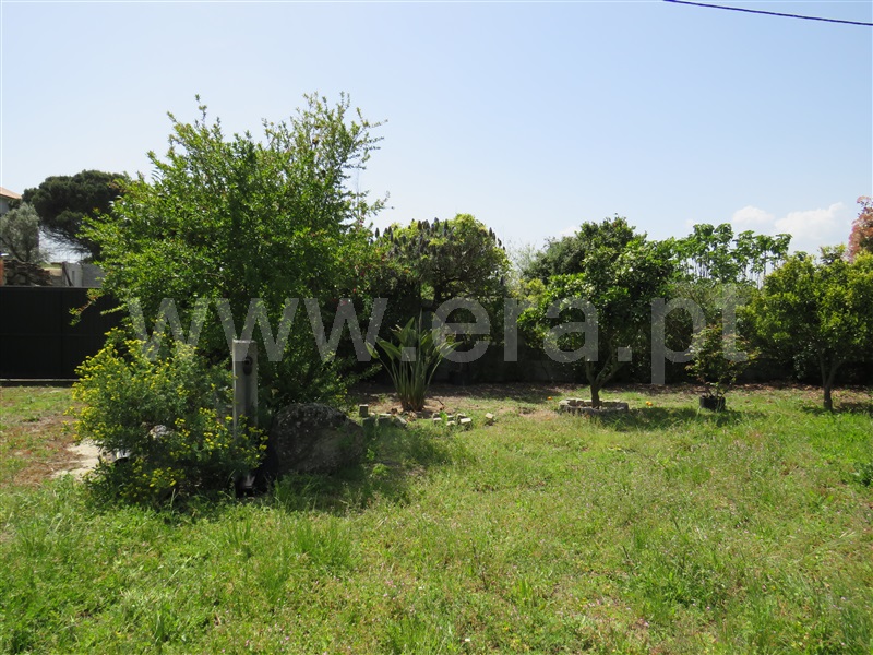 Quinta  com Agrícola Oliveira do Hospital, Seixo da Beira - 1246171 - 13