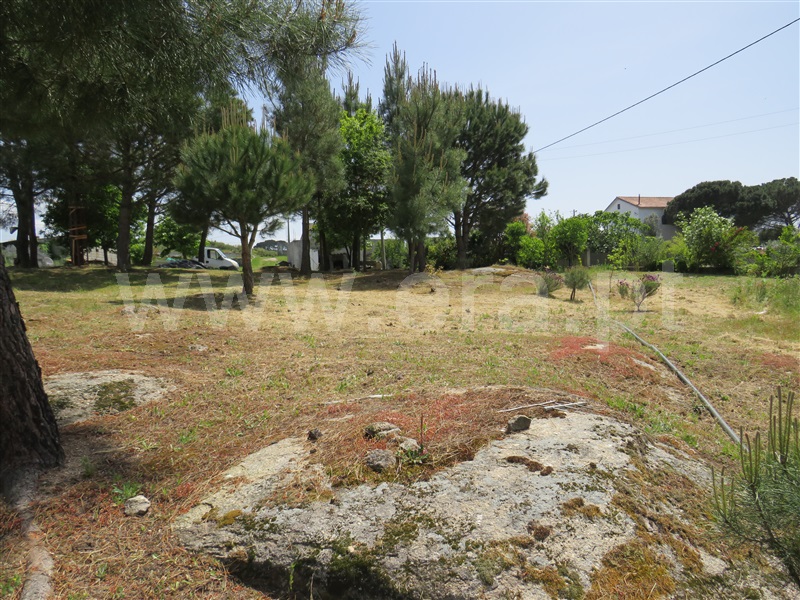 Quinta  com Agrícola Oliveira do Hospital, Seixo da Beira - 1246171 - 18