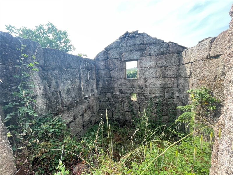 Herdade  Oliveira do Hospital, Seixo da Beira - 1417535 - 5