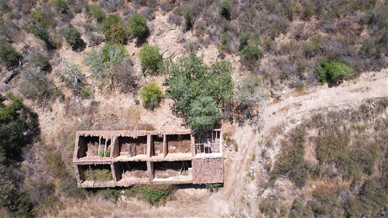 Quinta  Ourique, Santana da Serra - 873849 - 1