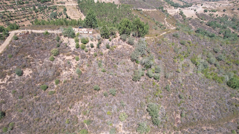 Quinta  Ourique, Santana da Serra - 873849 - 2