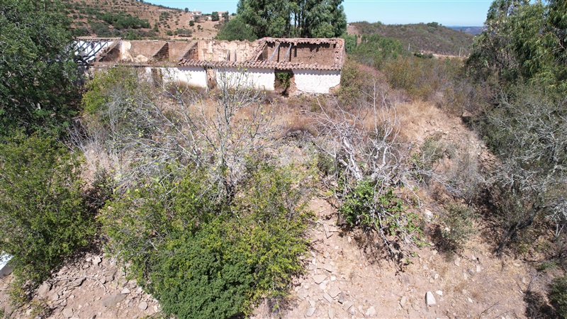 Quinta  Ourique, Santana da Serra - 873849 - 3