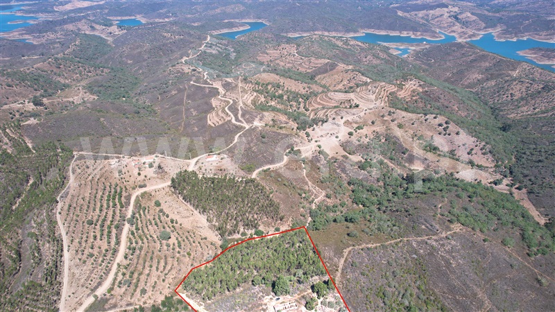 Quinta  Ourique, Santana da Serra - 873849 - 4