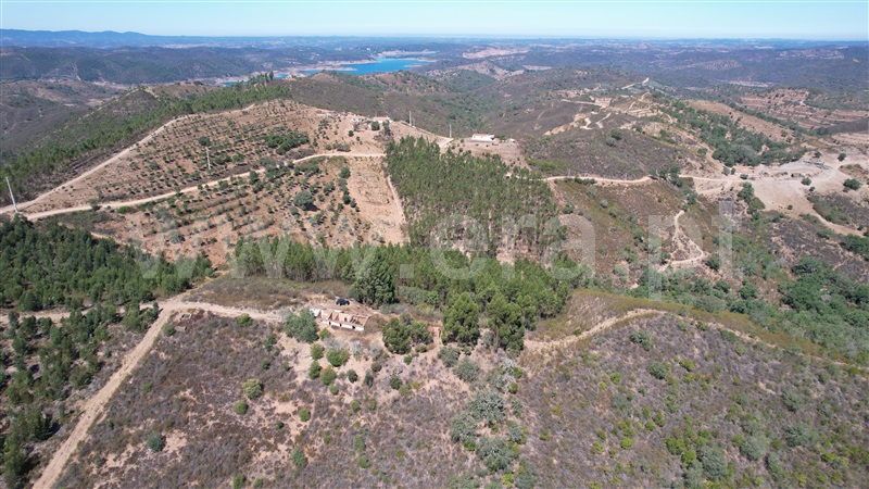 Quinta  Ourique, Santana da Serra - 873849 - 10