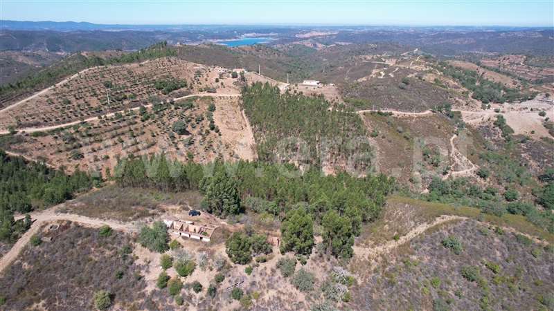 Quinta  Ourique, Santana da Serra - 873849 - 11