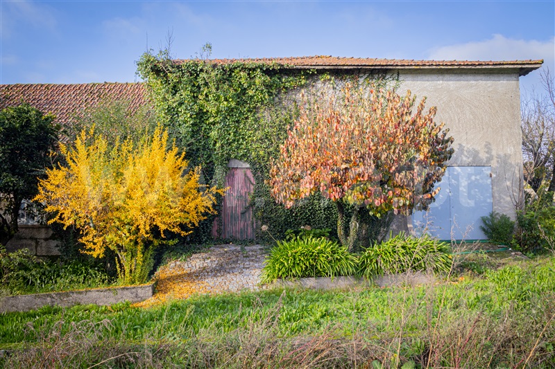 Quinta  Paços de Ferreira, Frazão Arreigada - 1367194 - 8