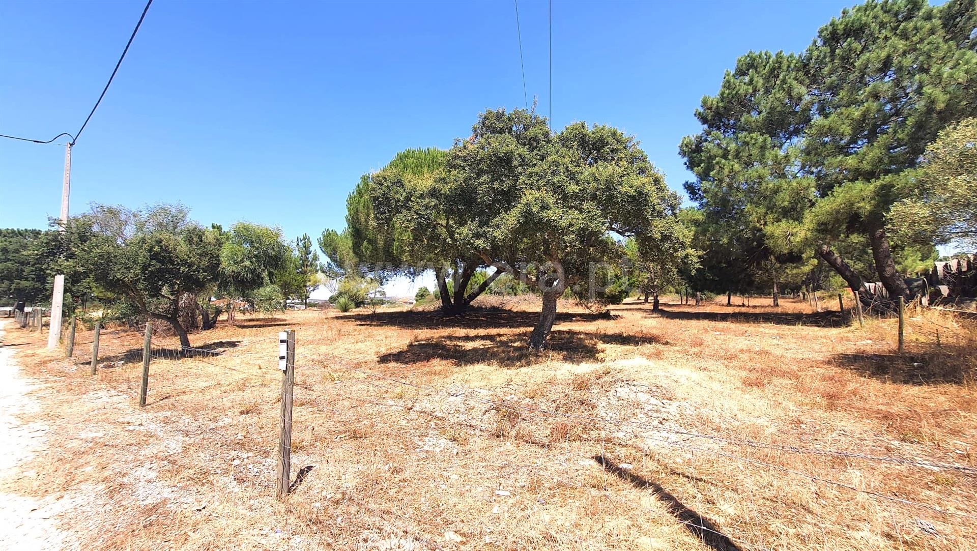 Land for sale in Palmela, Portugal — €450,000