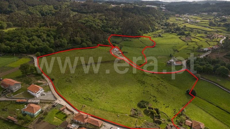 Quinta / Paredes de Coura, Cunha