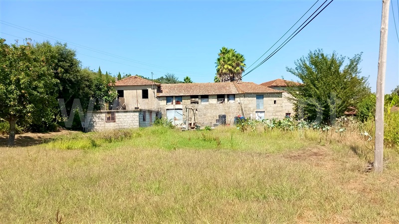 Quinta  Paredes, Parada de Todeia - 1267177 - 3