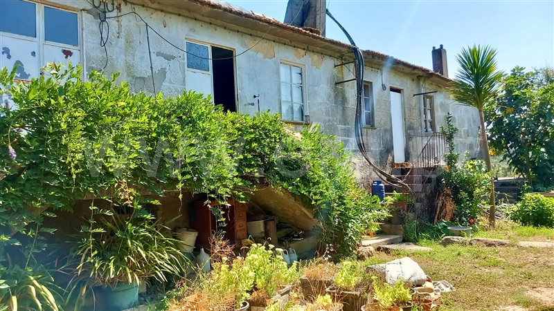 Quinta  Paredes, Parada de Todeia - 1267177 - 5