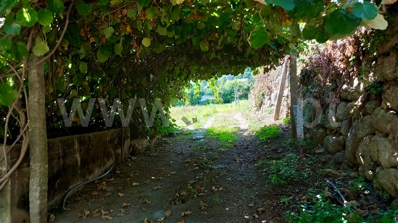 Quinta  Paredes, Parada de Todeia - 1267177 - 6