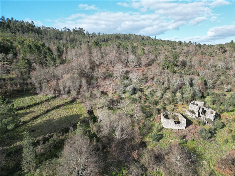 Quinta  Penalva do Castelo, Castelo de Penalva - 1380773 - 8