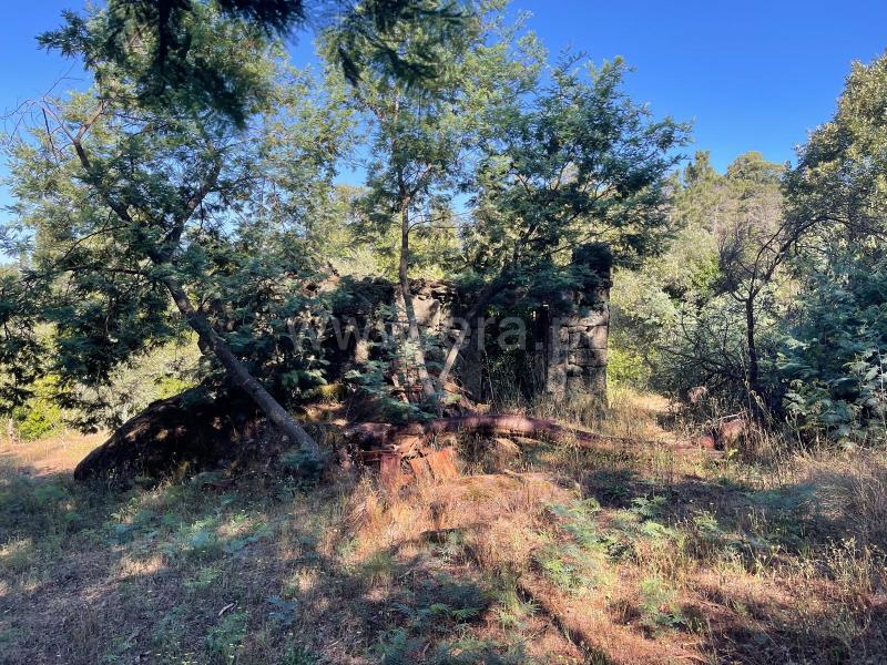 Quinta  com Agrícola Penalva do Castelo, Real - 1416832 - 4
