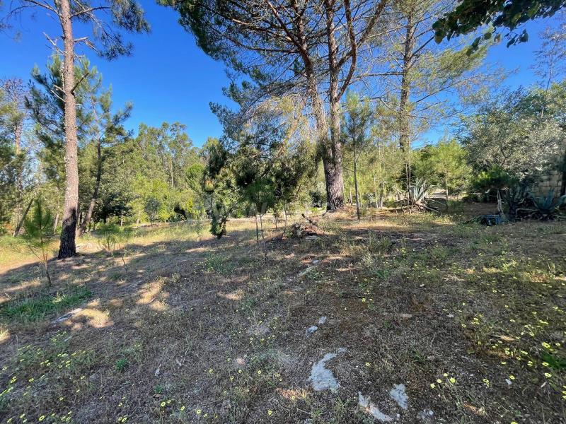 Quinta  com Agrícola Penalva do Castelo, Real - 1416832 - 6