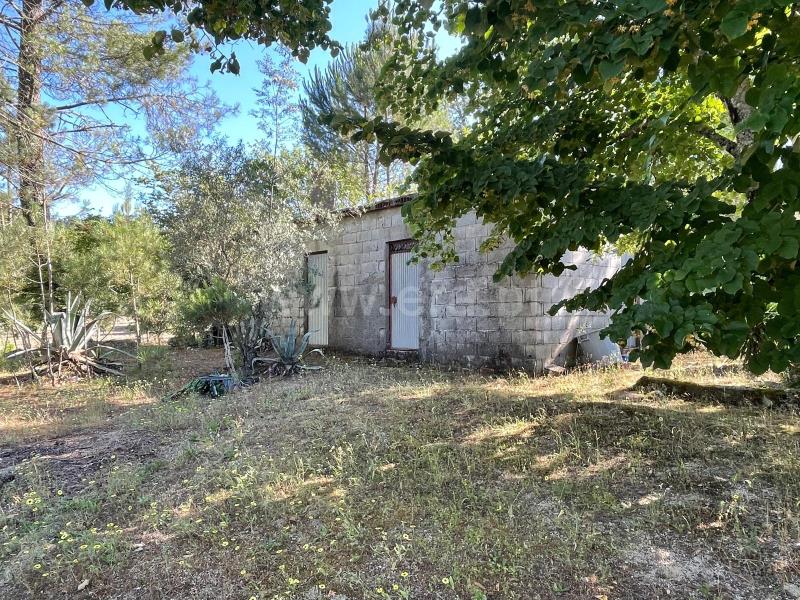 Quinta  com Agrícola Penalva do Castelo, Real - 1416832 - 7