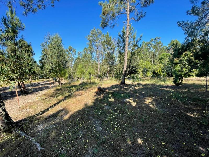 Quinta  com Agrícola Penalva do Castelo, Real - 1416832 - 9