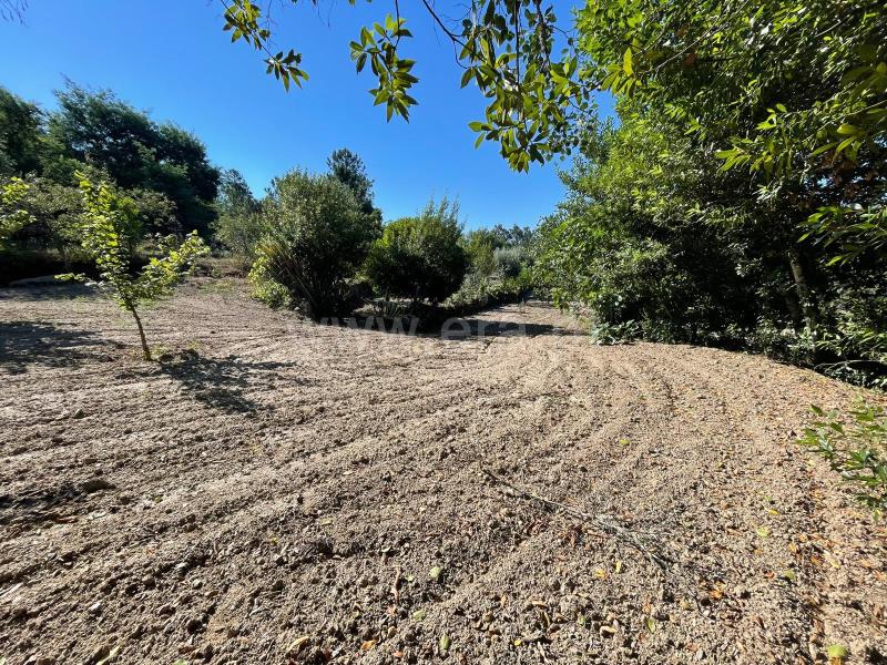 Quinta  com Agrícola Penalva do Castelo, Real - 1416832 - 17