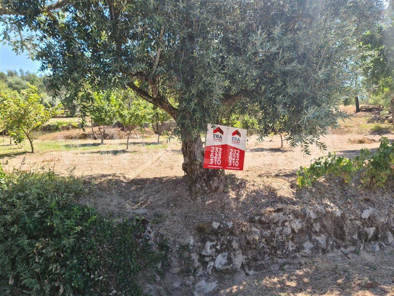 Quinta / Penalva do Castelo, Real