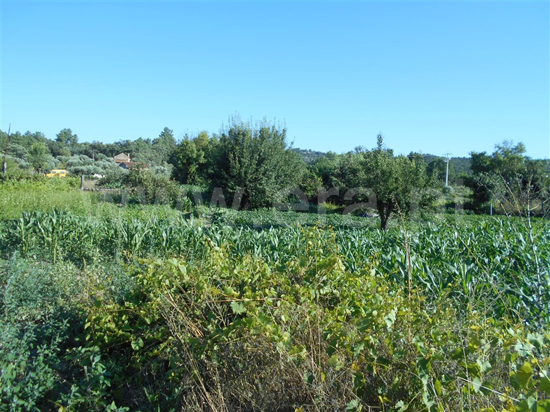 Quinta  Penamacor, Aldeia do Bispo - 1418202 - 7