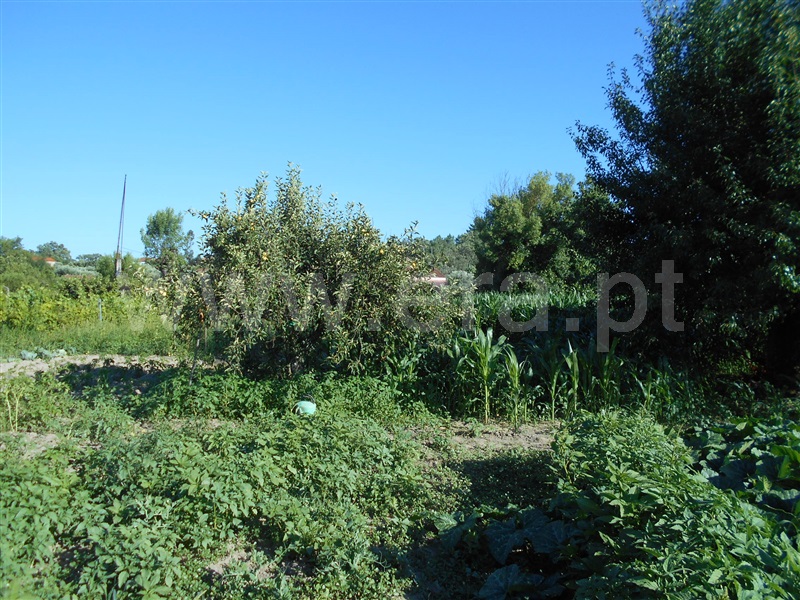Quinta  Penamacor, Aldeia do Bispo - 1418202 - 8