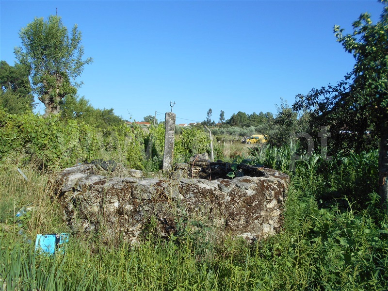 Quinta  Penamacor, Aldeia do Bispo - 1418202 - 9