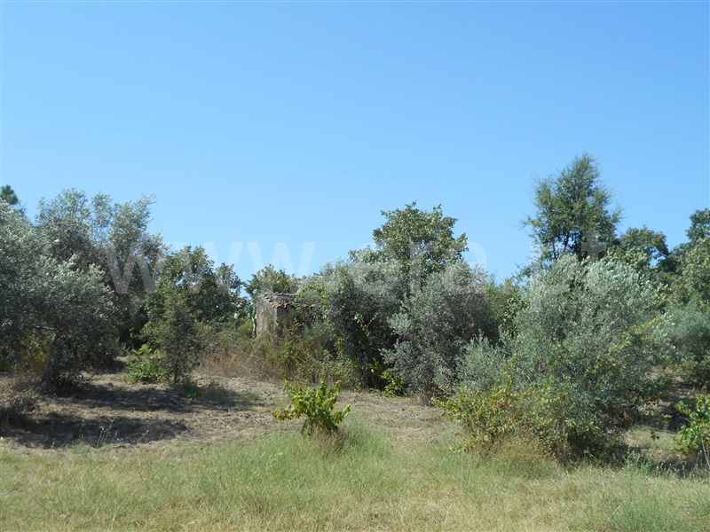Quinta  Penamacor, Aldeia do Bispo - 1426597 - 8