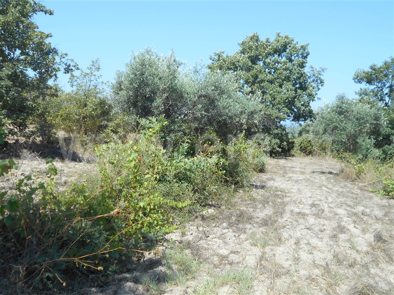 Quinta  Penamacor, Aldeia do Bispo - 1426597 - 9