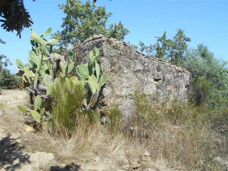Quinta  Penamacor, Aldeia do Bispo - 1426597 - 10