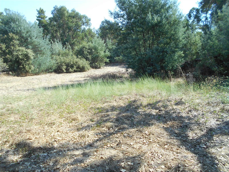 Quinta  Penamacor, Aldeia do Bispo - 1426599 - 5
