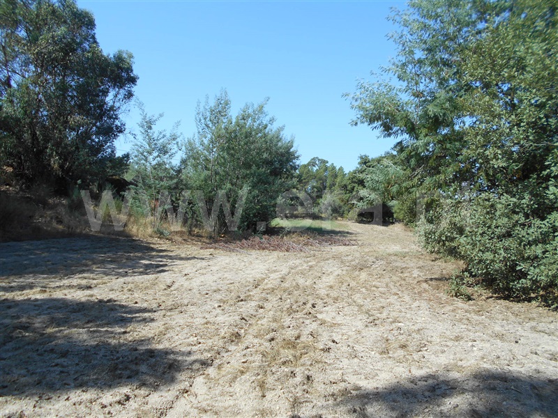 Quinta  Penamacor, Aldeia do Bispo - 1426599 - 6