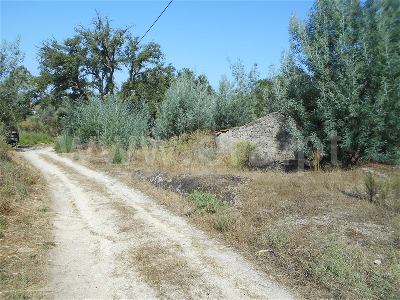 Quinta  Penamacor, Aldeia do Bispo - 1426599 - 10