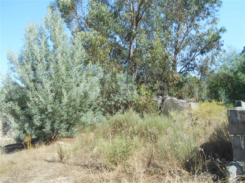 Quinta  Penamacor, Aldeia do Bispo - 1426599 - 11