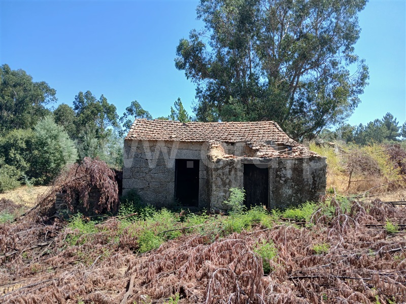 Quinta / Penamacor, Aldeia do Bispo, Águas e Aldeia de João Pires