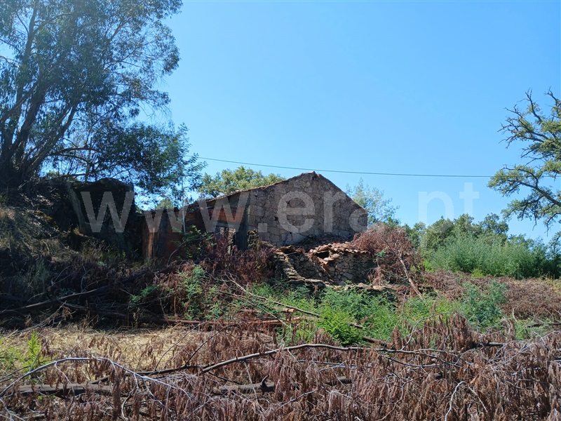Quinta  Penamacor, Aldeia do Bispo - 1426599 - 15