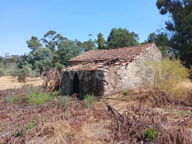 Quinta  Penamacor, Aldeia do Bispo - 1426599 - 16