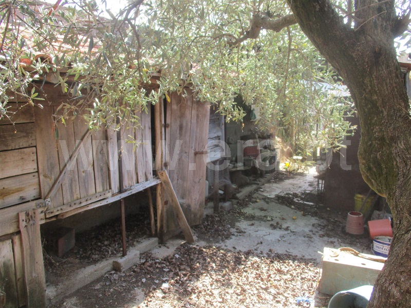 Quinta  Penamacor, Aranhas - 1038588 - 9