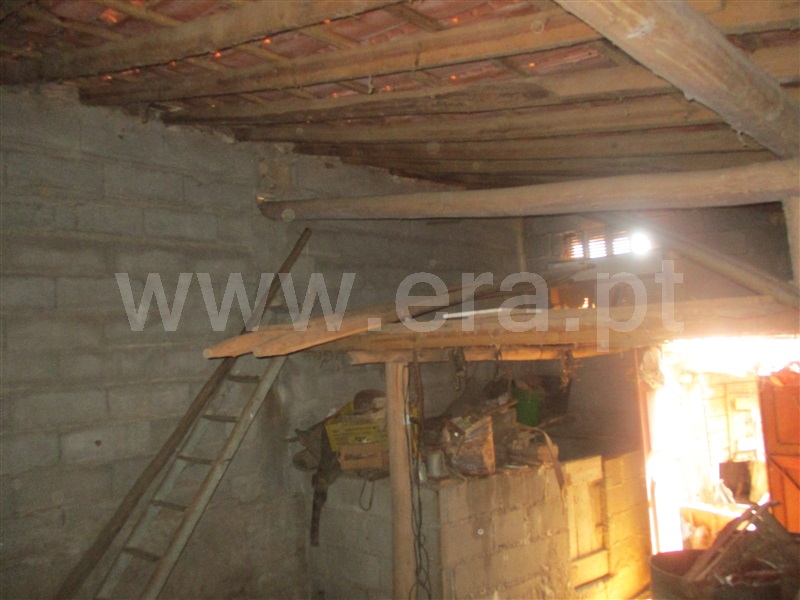 Quinta  Penamacor, Aranhas - 1038588 - 16
