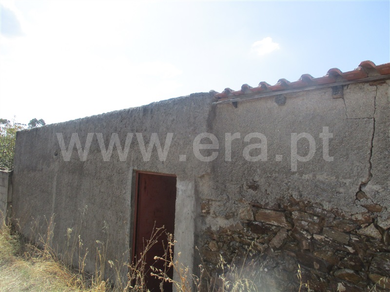 Quinta  Penamacor, Aranhas - 1038588 - 13