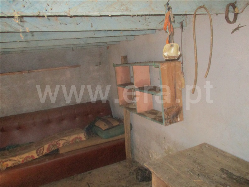 Quinta  Penamacor, Aranhas - 1038588 - 12