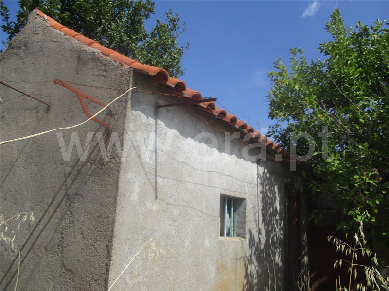 Quinta  Penamacor, Aranhas - 1038588 - 11