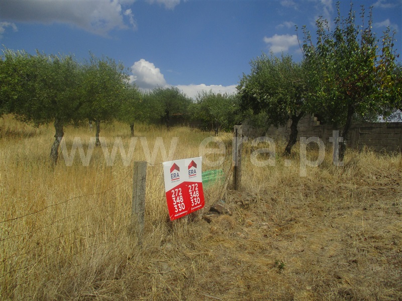 Quinta  Penamacor, Aranhas - 1038588 - 4