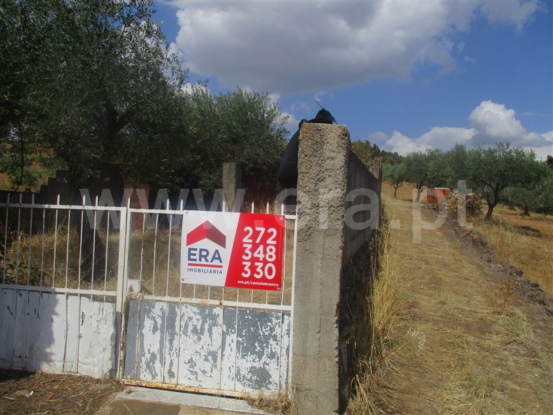 Quinta  Penamacor, Aranhas - 1038588 - 3