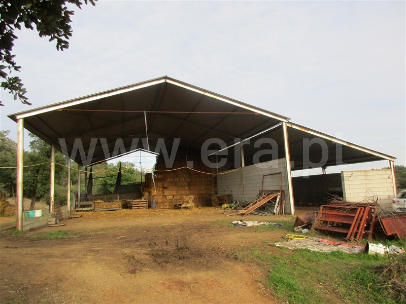Quinta / Penamacor, Aranhas