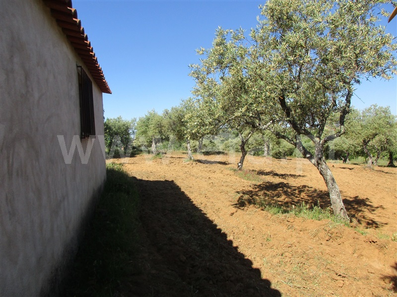 Quinta  Penamacor, Aranhas - 1176468 - 6