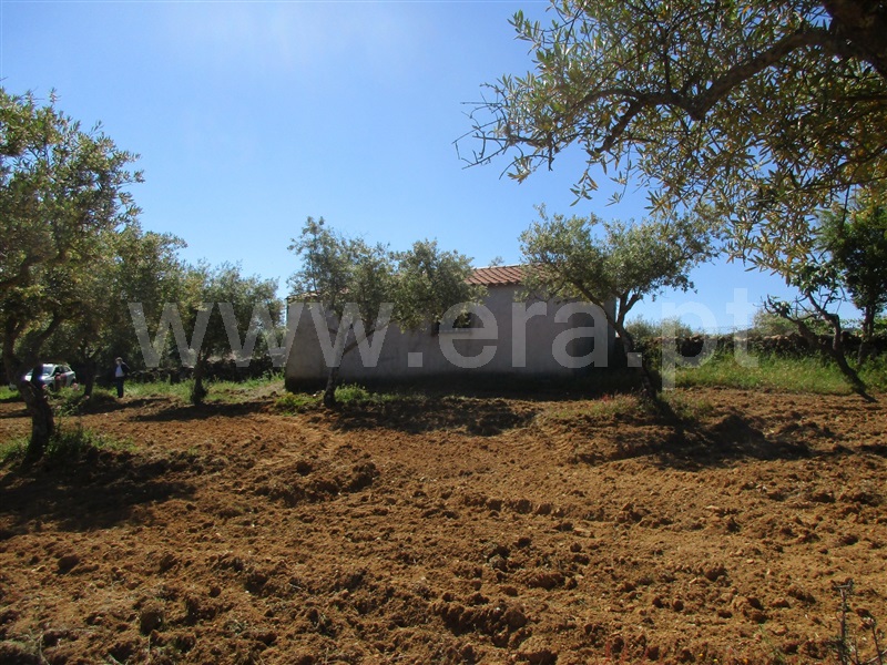 Quinta  Penamacor, Aranhas - 1176468 - 13