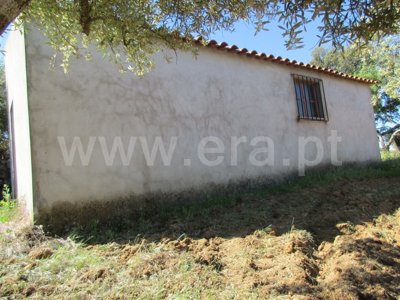 Quinta  Penamacor, Aranhas - 1176468 - 14