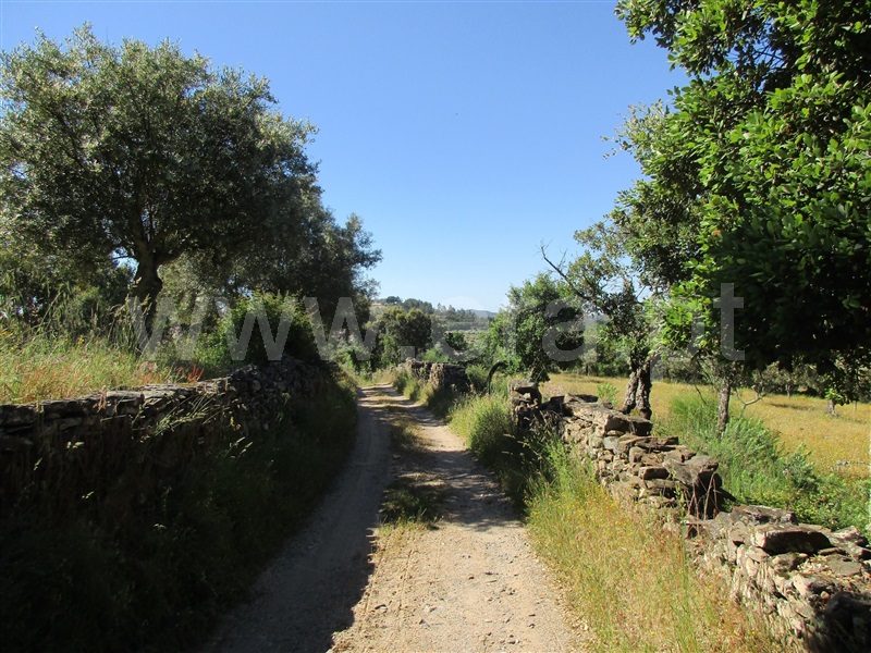 Quinta  Penamacor, Aranhas - 1176468 - 17