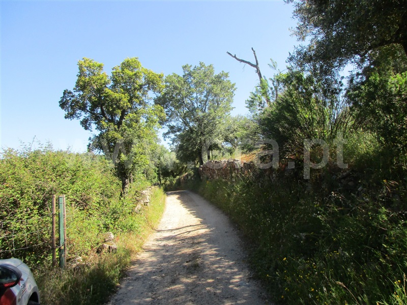 Quinta  Penamacor, Aranhas - 1176468 - 18